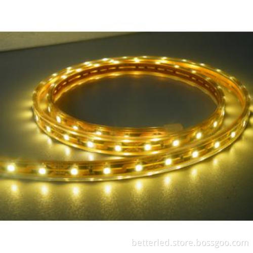 Better SMD5050 RGB waterproof flexible Led strip with 60Leds/m